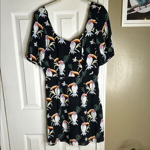 Black Dress with Toucan Novelty Print Size 6